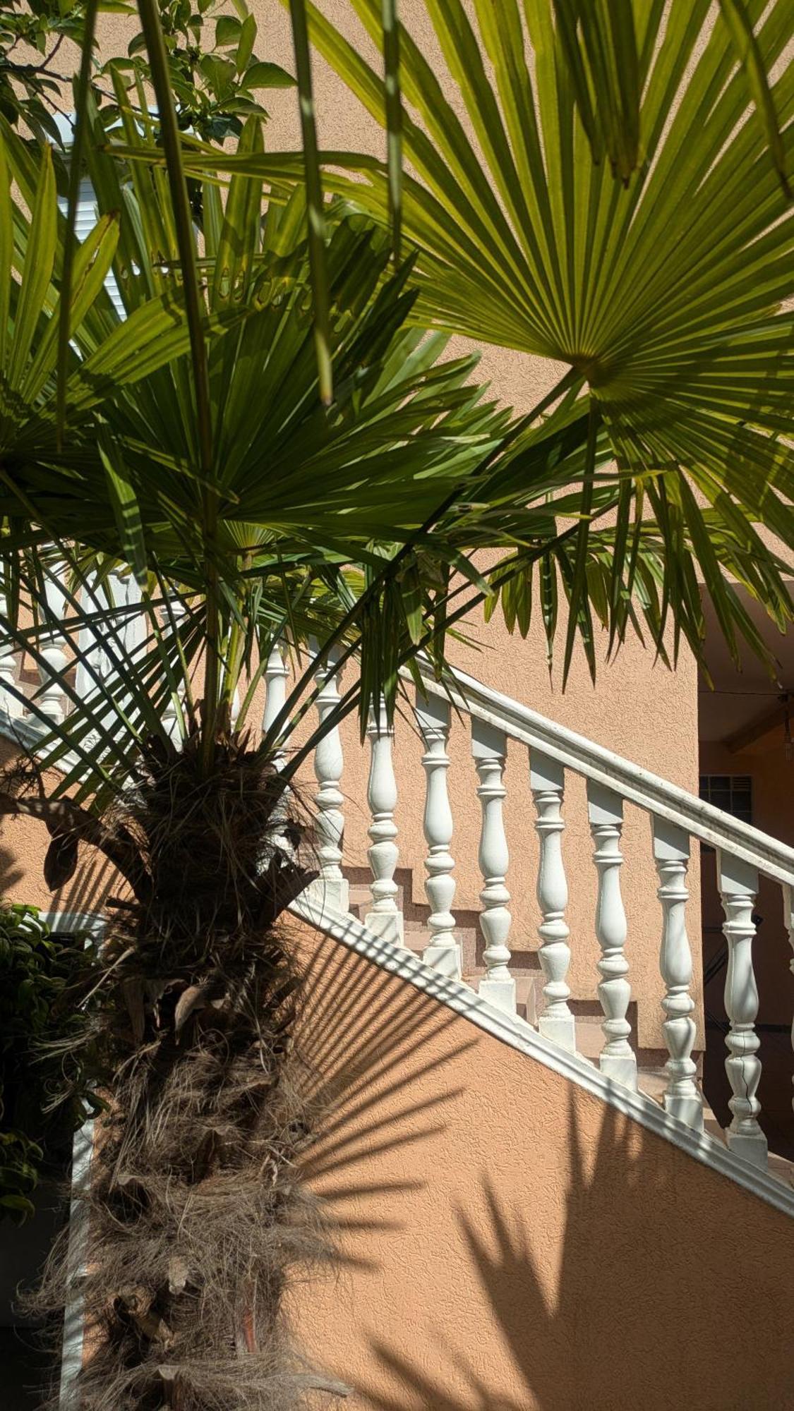 Apartments Montenegrina Ulcinj Eksteriør billede